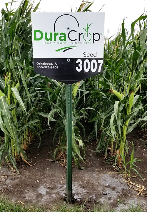 Corn DuraCrop